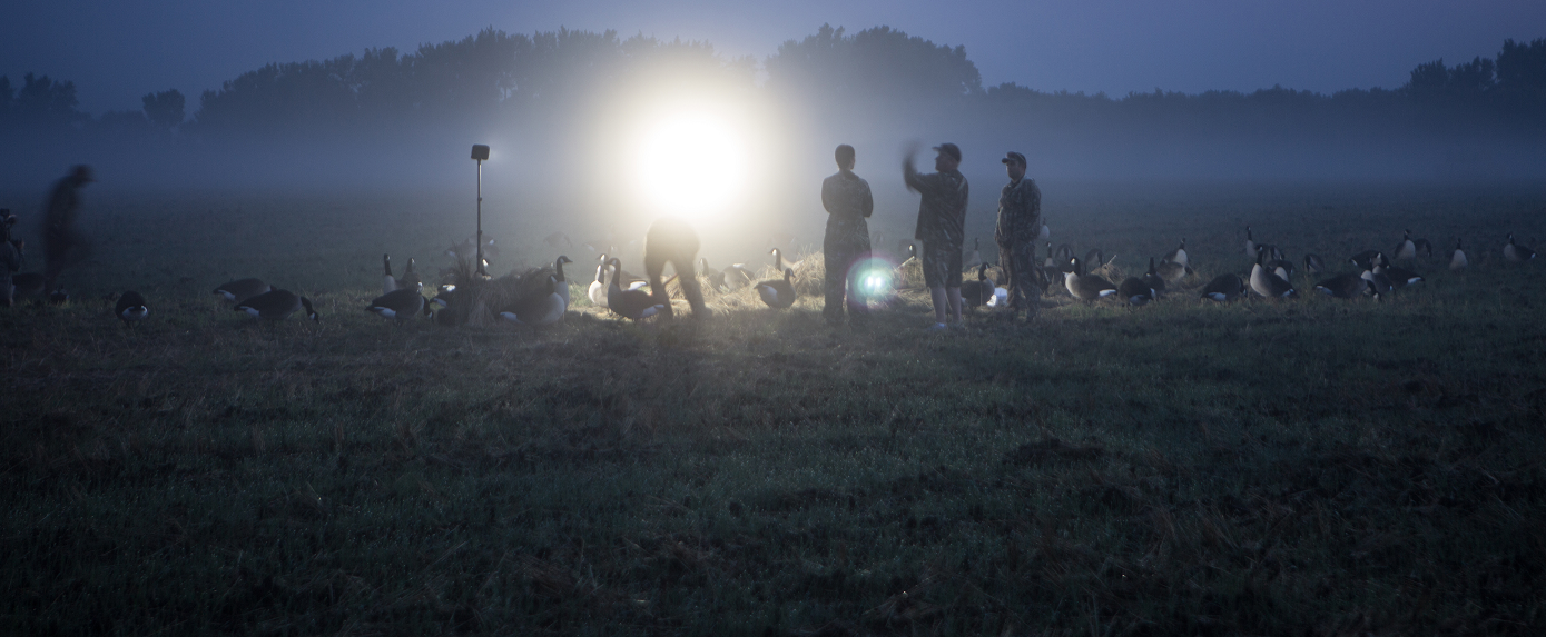 Jäger nehmen tragbare Flutlichter für die Beleuchtung ihres Lagers von erlegtem Wild mit