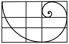 La espiral de Fibonacci es una de las formas más comunes de utilizar la proporción áurea en fotografía