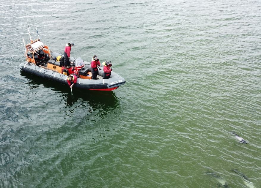 Rain or Shine: Dr. Marina Costa and Her Dolphins Stay Protected